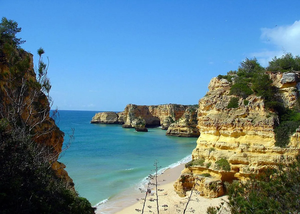 Casa Ouricos Large Pool Bbq Walk To Beach Carvoeiro  Villa